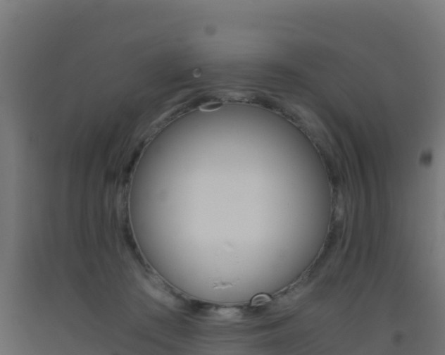 X0000093510409200710121107