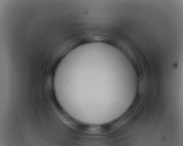 X0000093510410200710121107