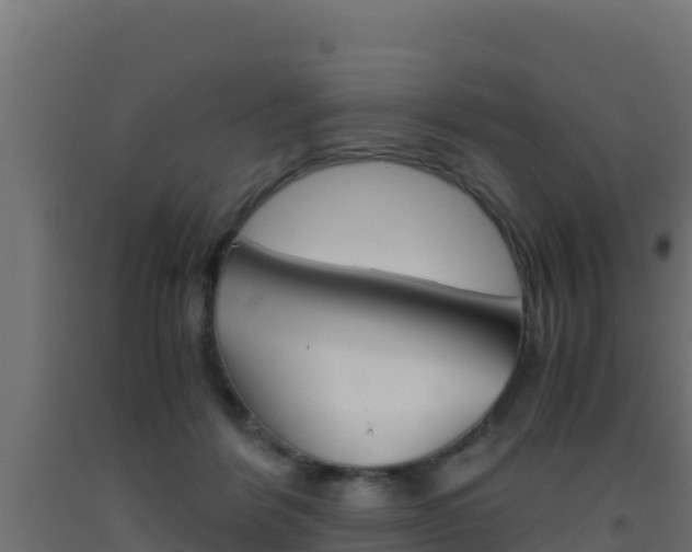 X0000093510412200710121107
