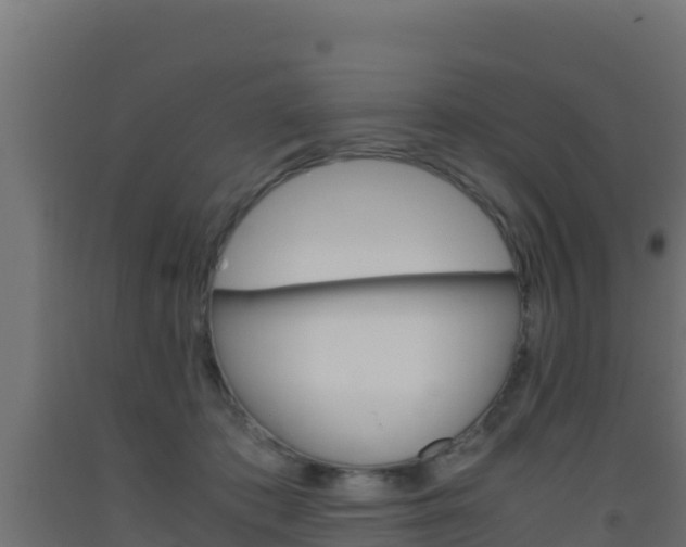 X0000093510413200710121107