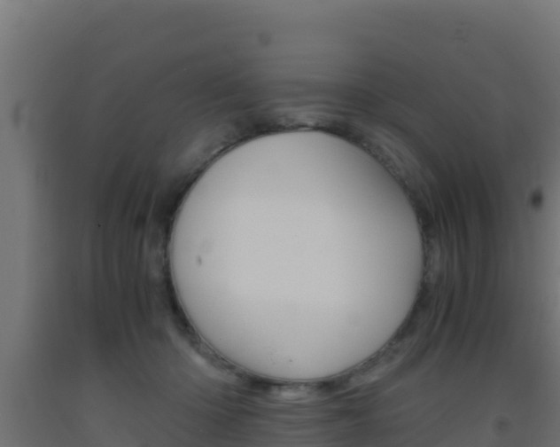 X0000093510414200710121107