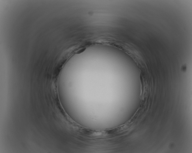 X0000093510415200710121107