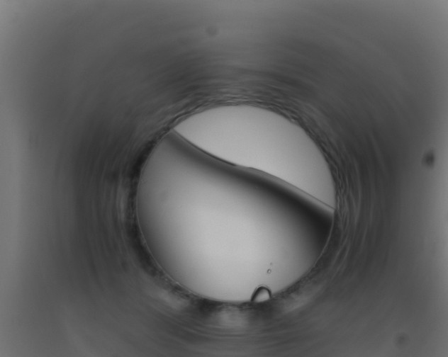 X0000093510416200710121107
