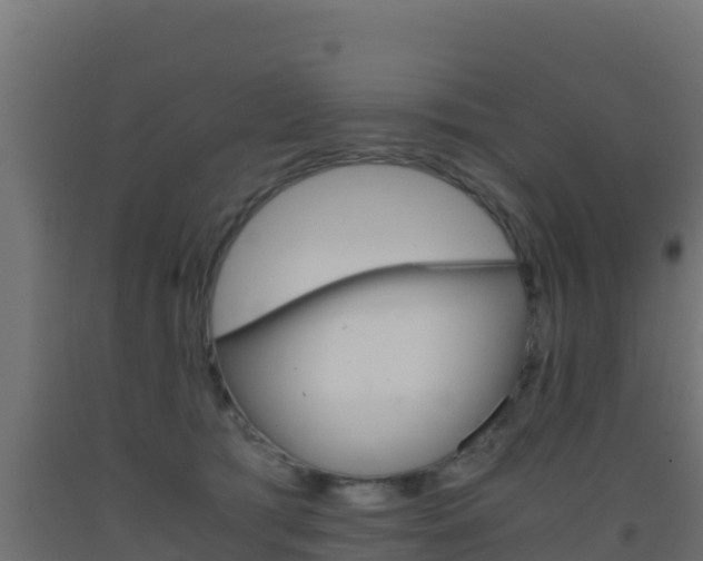 X0000093510417200710121107