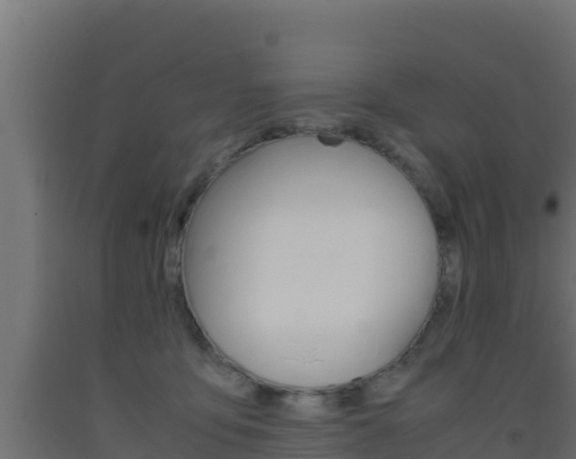 X0000093510419200710121107