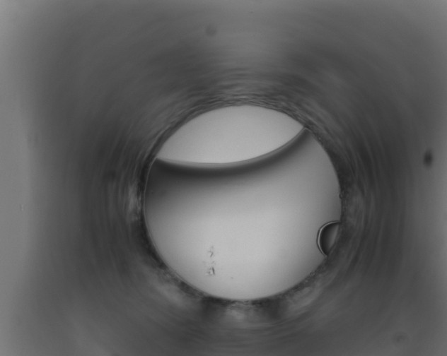 X0000093510420200710121107