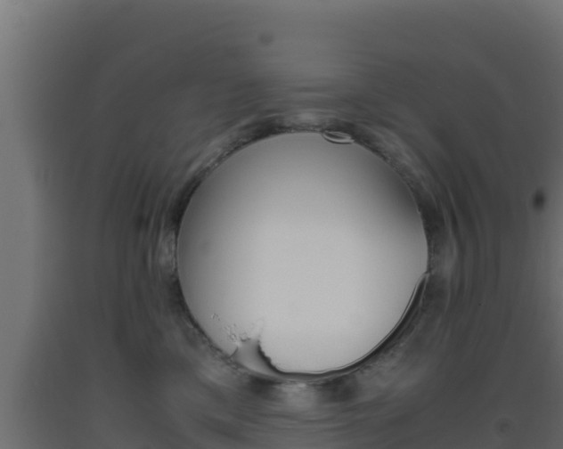 X0000093510425200710121107