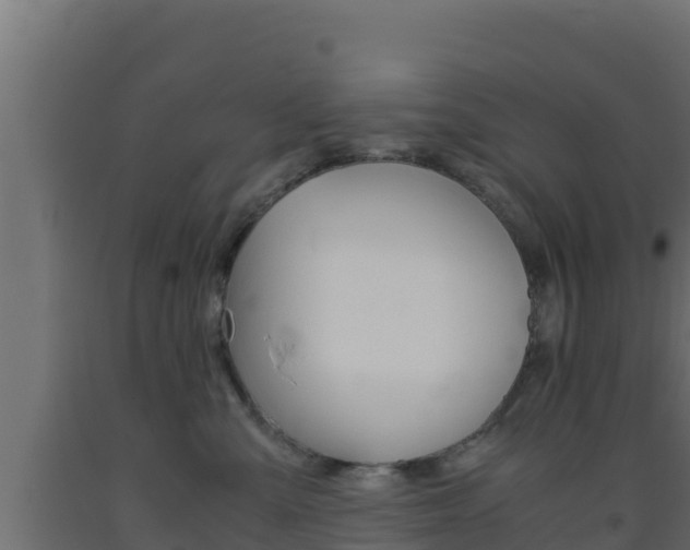 X0000093510427200710121107