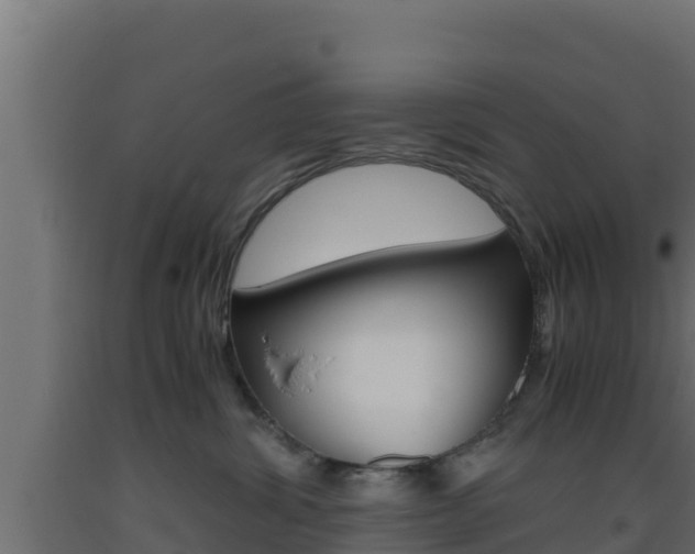 X0000093510428200710121107