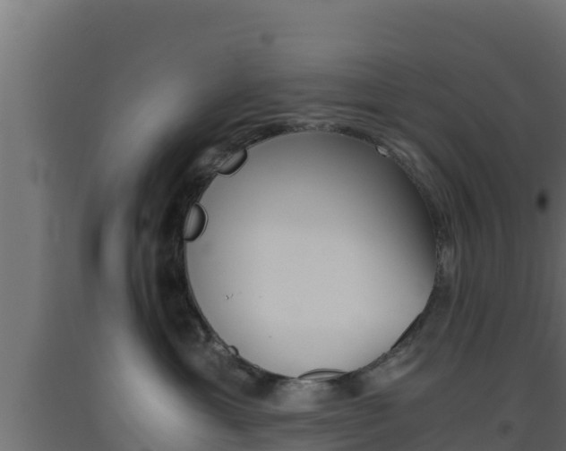X0000093510429200710121107