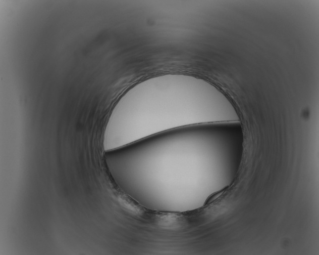 X0000093510432200710121107