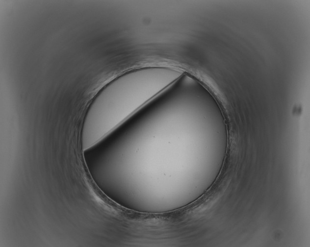 X0000093510433200710121106