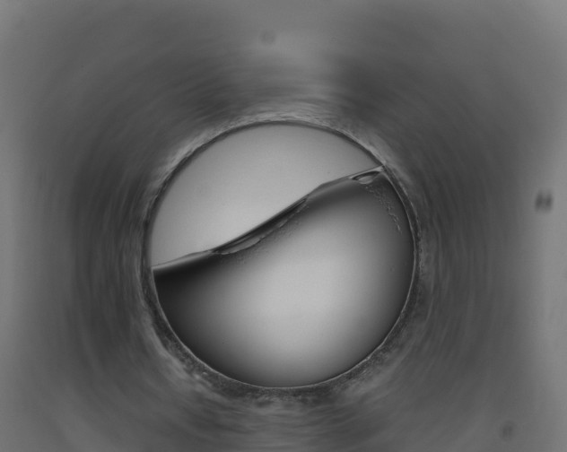 X0000093510434200710121106