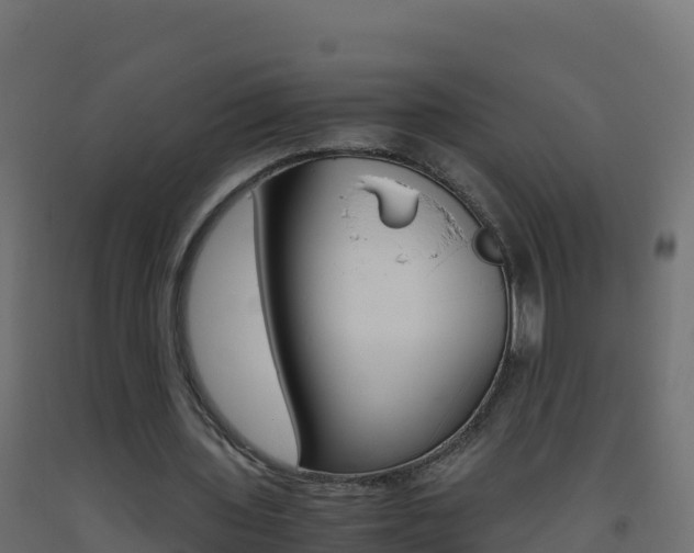 X0000093510435200710121106