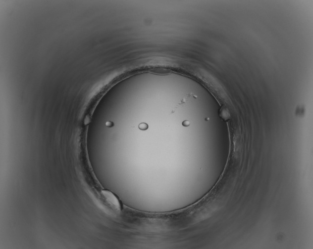 X0000093510436200710121106