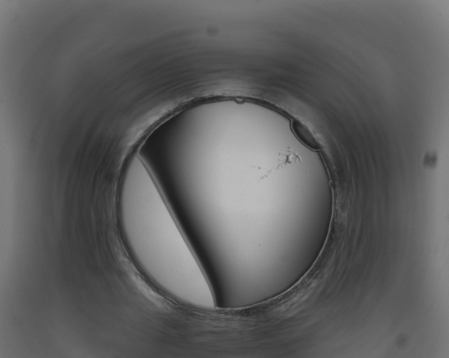 X0000093510437200710121106