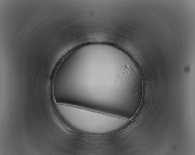 X0000093510439200710121106
