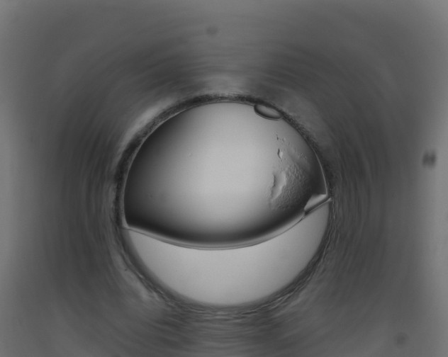 X0000093510440200710121106