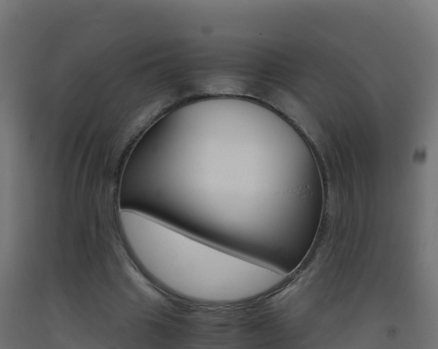 X0000093510441200710121106