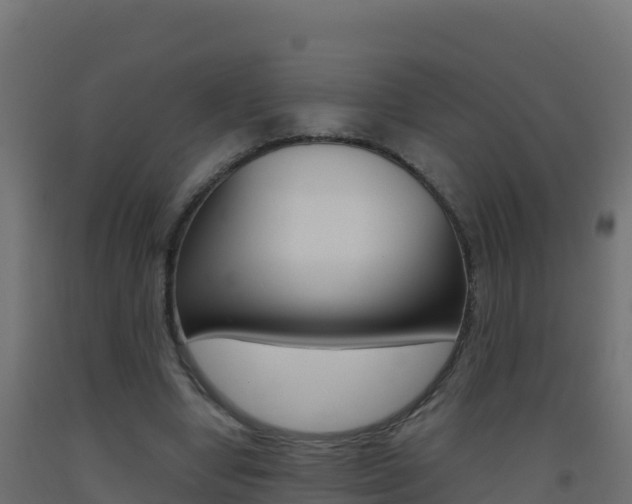 X0000093510442200710121106