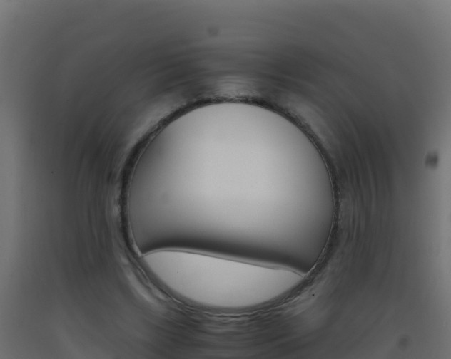 X0000093510443200710121106