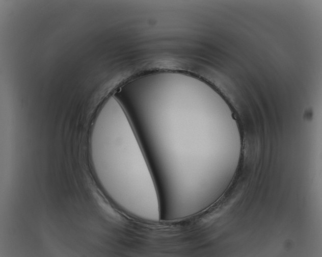 X0000093510445200710121106