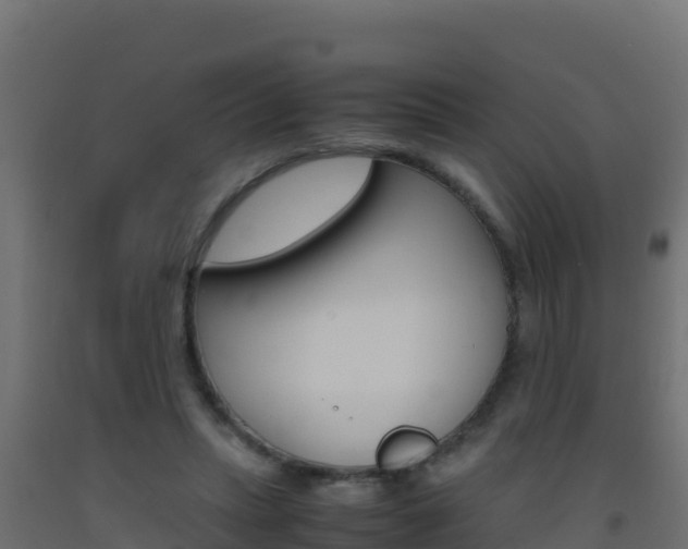 X0000093510447200710121106