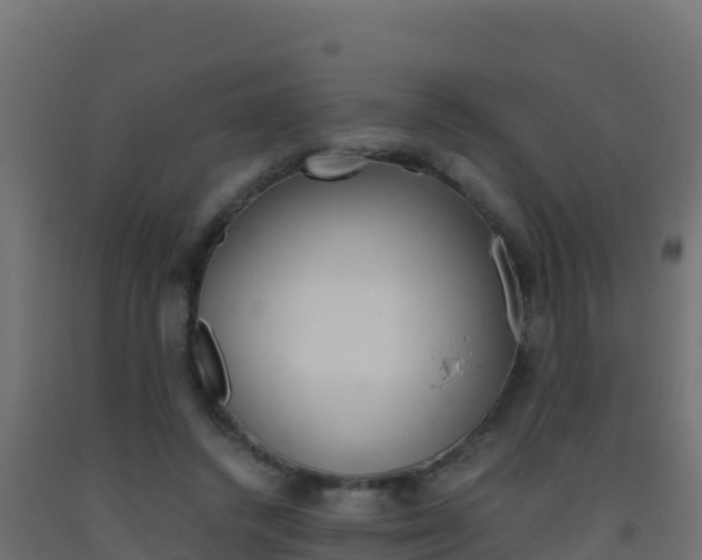 X0000093510448200710121106