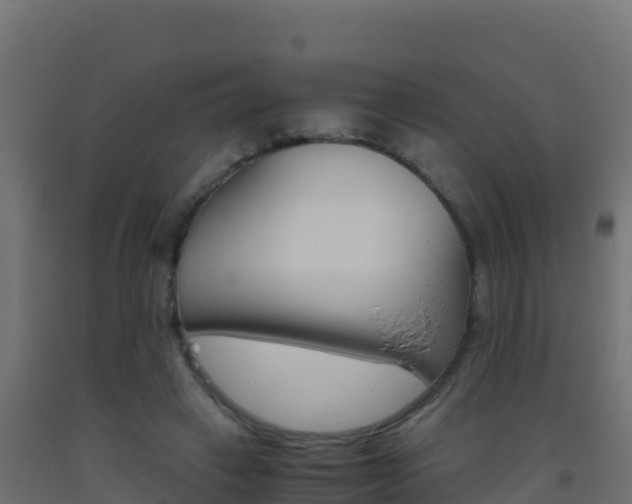 X0000093510449200710121106