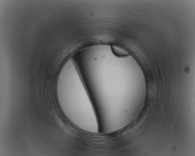X0000093510451200710121106