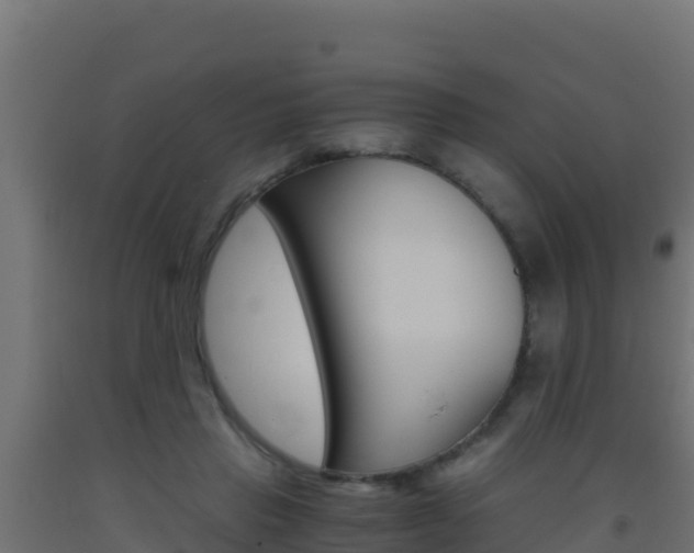 X0000093510453200710121106