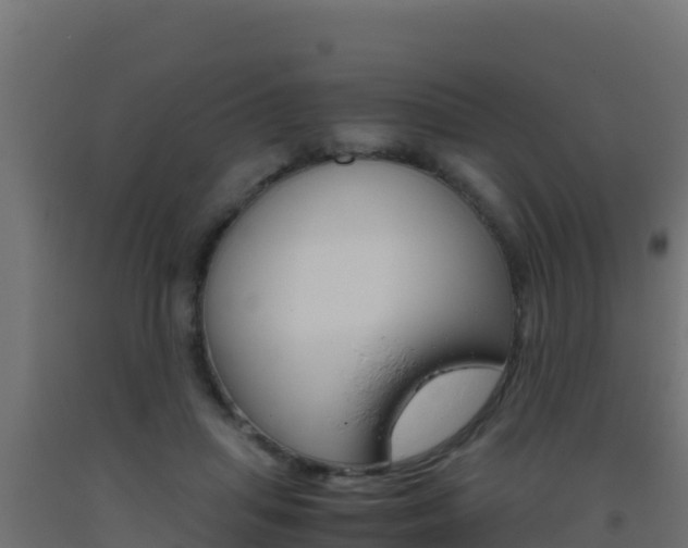 X0000093510455200710121106