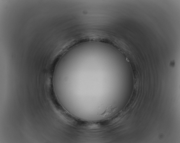 X0000093510456200710121106