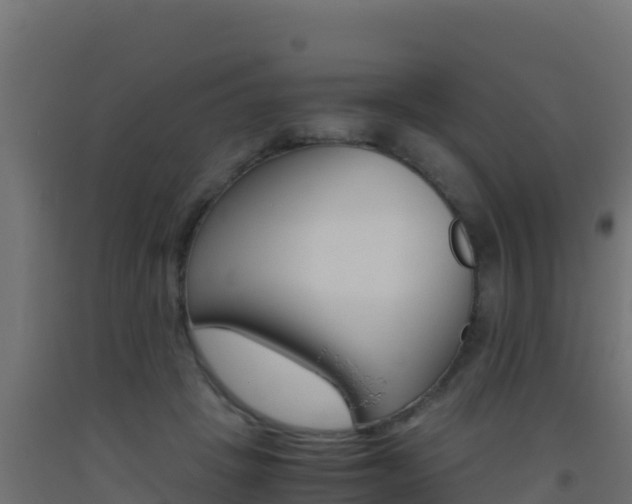 X0000093510457200710121106