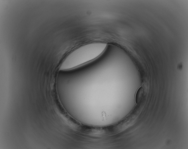 X0000093510458200710121106