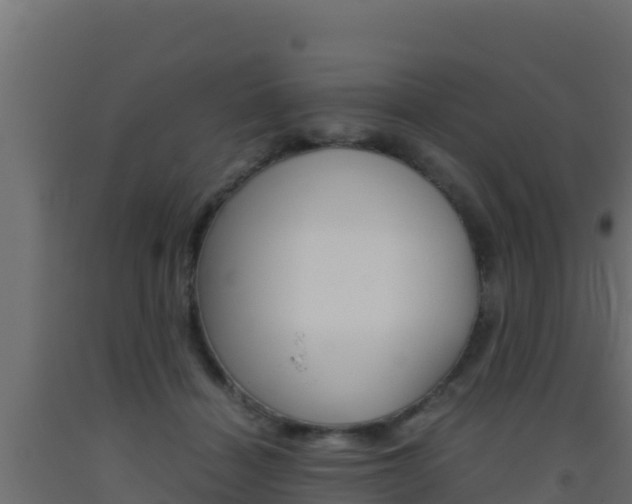 X0000093510460200710121106