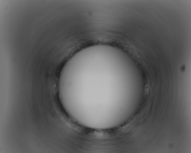 X0000093510464200710121106