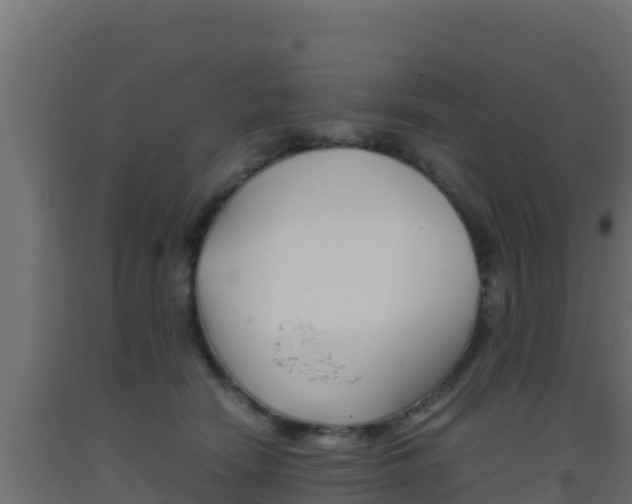 X0000093510466200710121106