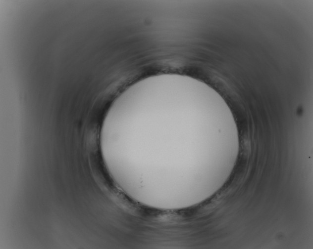 X0000093510468200710121106