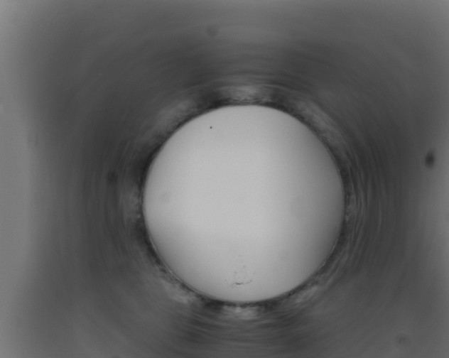 X0000093510469200710121106