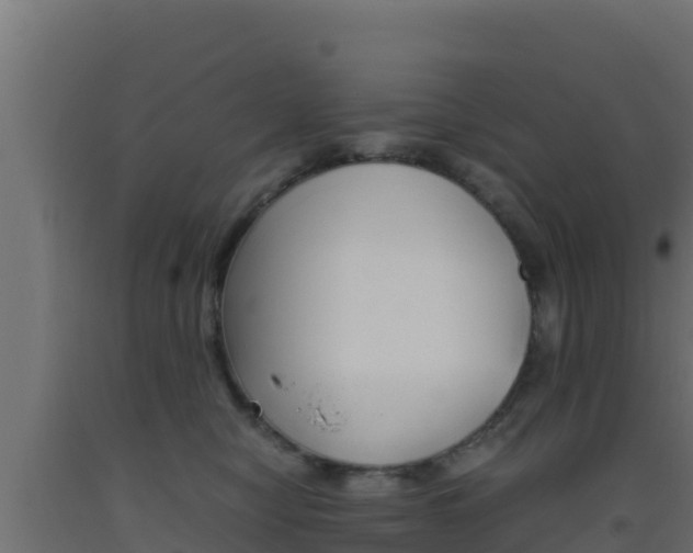 X0000093510470200710121107