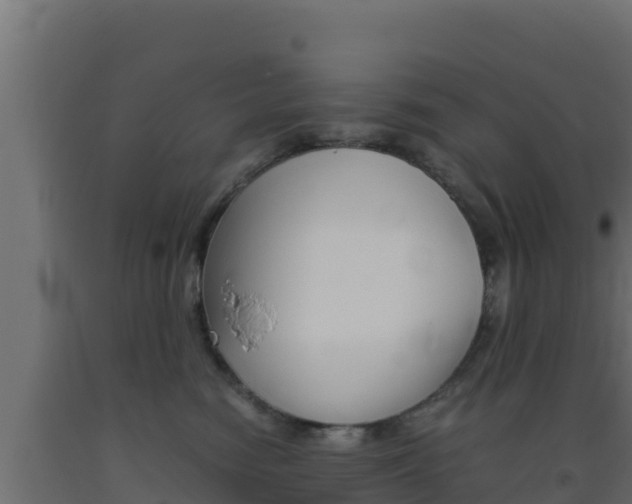 X0000093510474200710121107