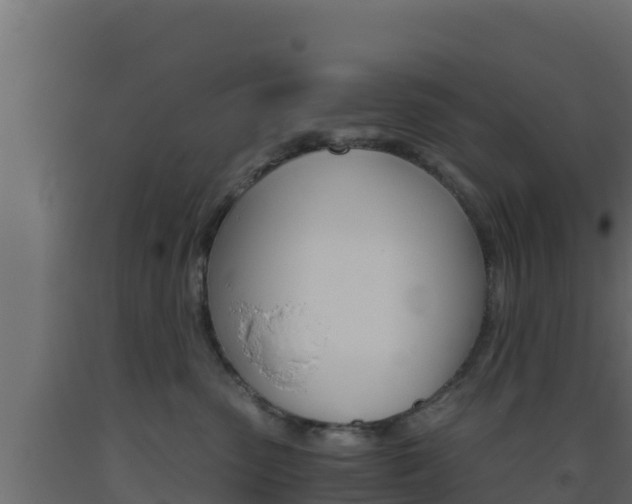 X0000093510475200710121107
