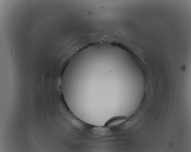 X0000093510480200710121107