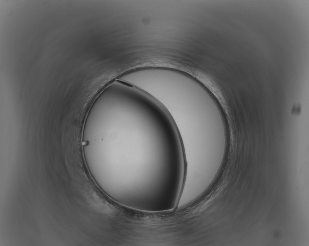 X0000093510481200710121106