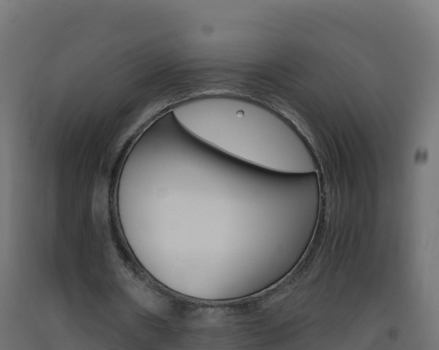 X0000093510482200710121106