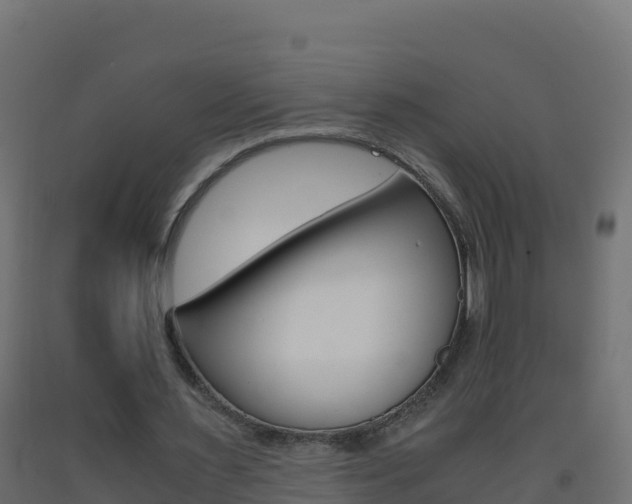 X0000093510483200710121106
