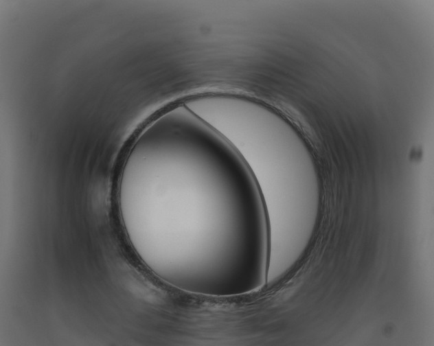 X0000093510484200710121106