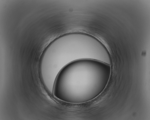 X0000093510485200710121106