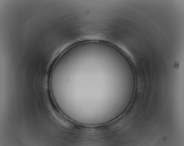 X0000093510486200710121106